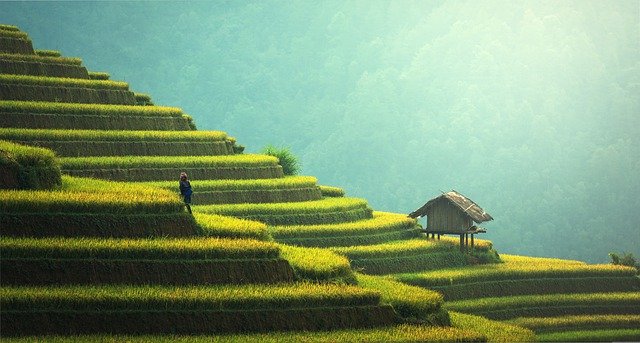 Boden: Der wichtigste Aspekt der Gartenarbeit