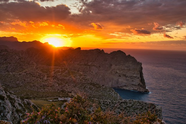 Zurück zur Natur: Ein Wegweiser zu den stillsten Naturoasen Mallorcas